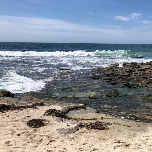 Meet your Posher, Aya - Picture 1 of 1